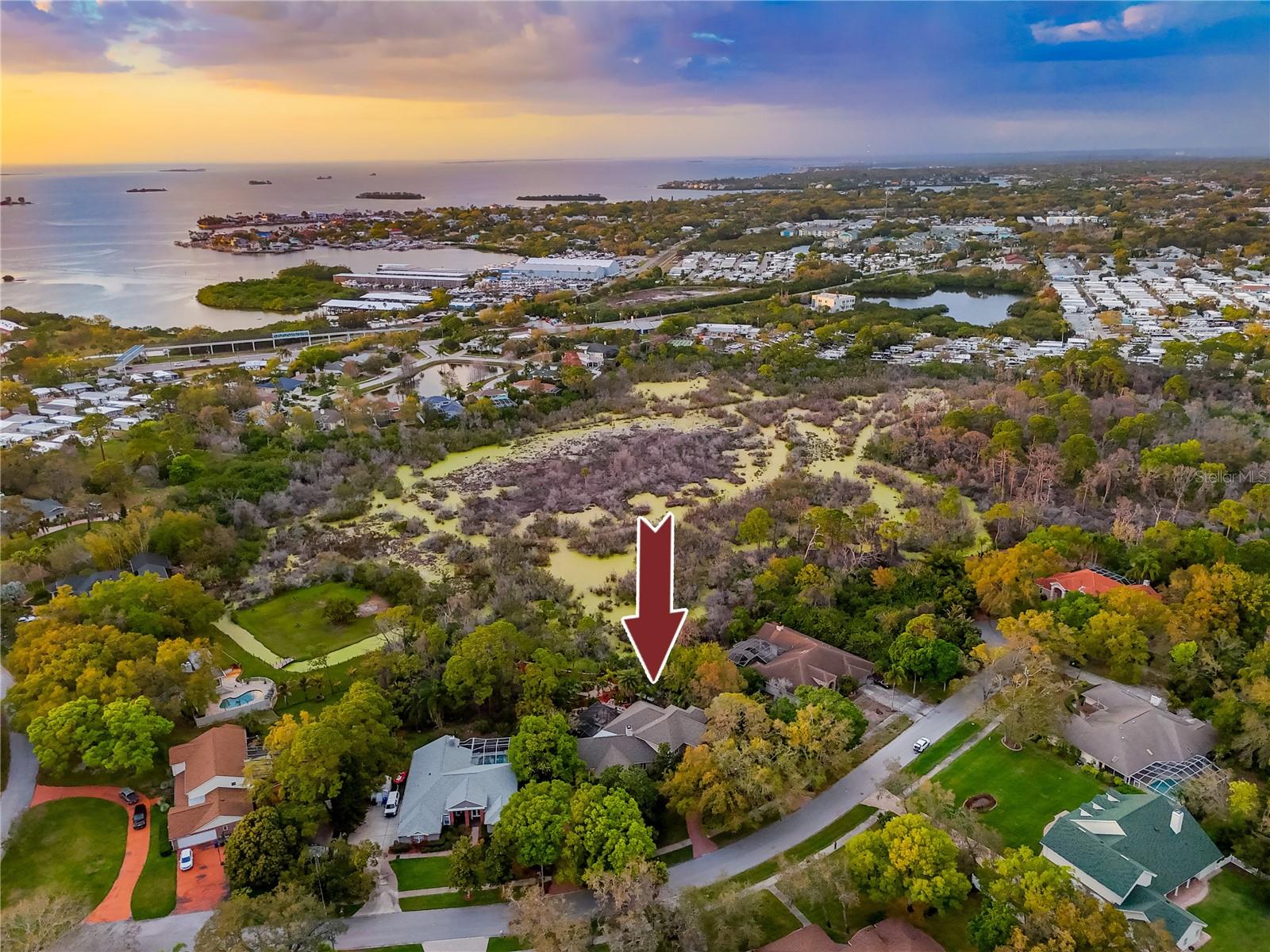 2780 LONG PUTT CT, PALM HARBOR, FL, 34683