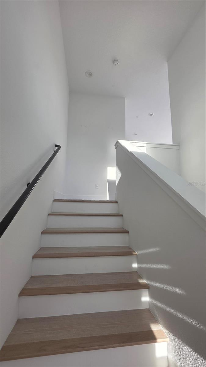 2511 N GRADY AVE #6, TAMPA, FL, 33607