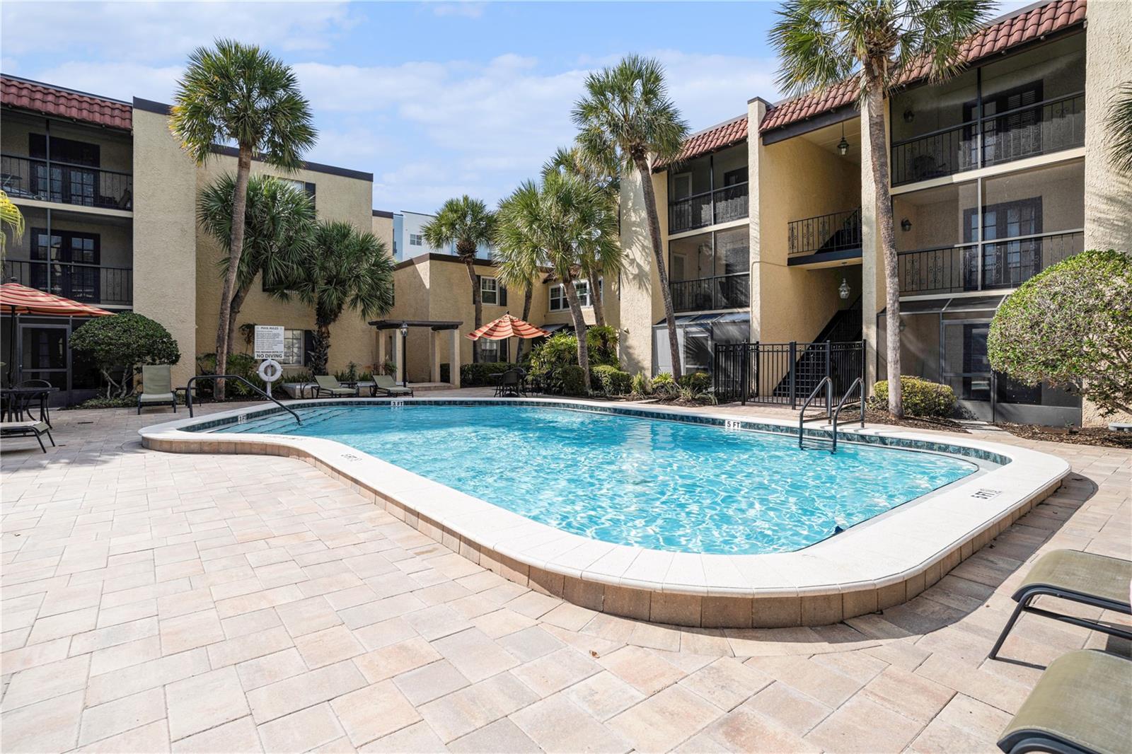 5306 SANTA ROSA CT #341, TAMPA, FL, 33609