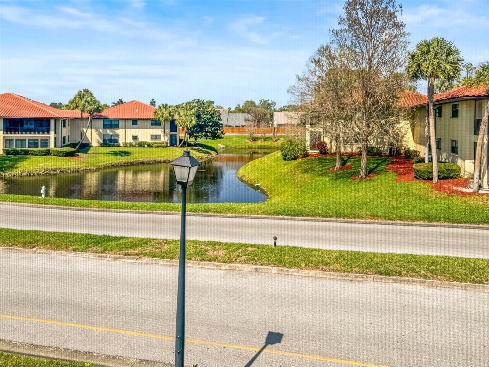 2113 HAMMOCK PINE BLVD #2113, CLEARWATER, FL, 33761