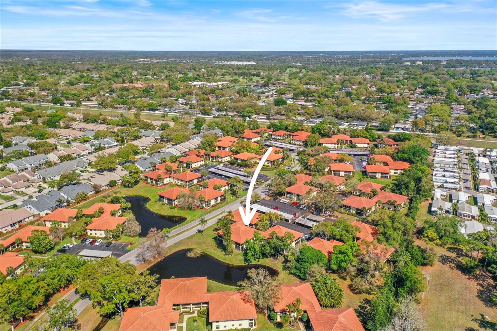 2113 HAMMOCK PINE BLVD #2113, CLEARWATER, FL, 33761