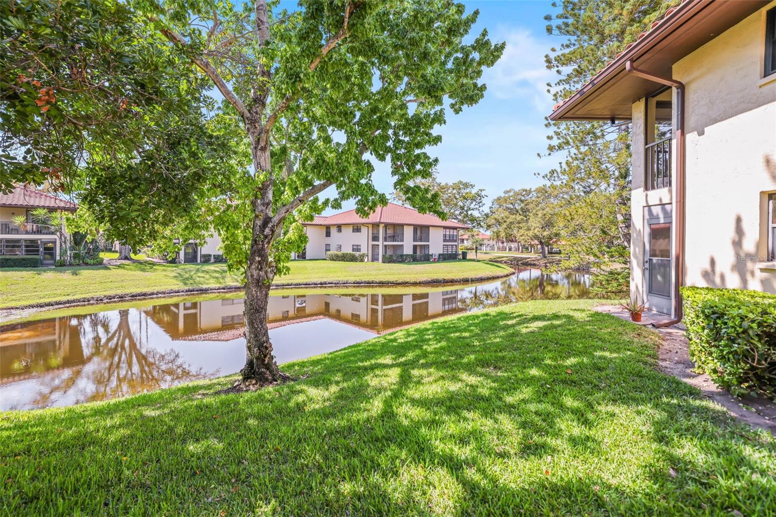 2113 HAMMOCK PINE BLVD #2113, CLEARWATER, FL, 33761
