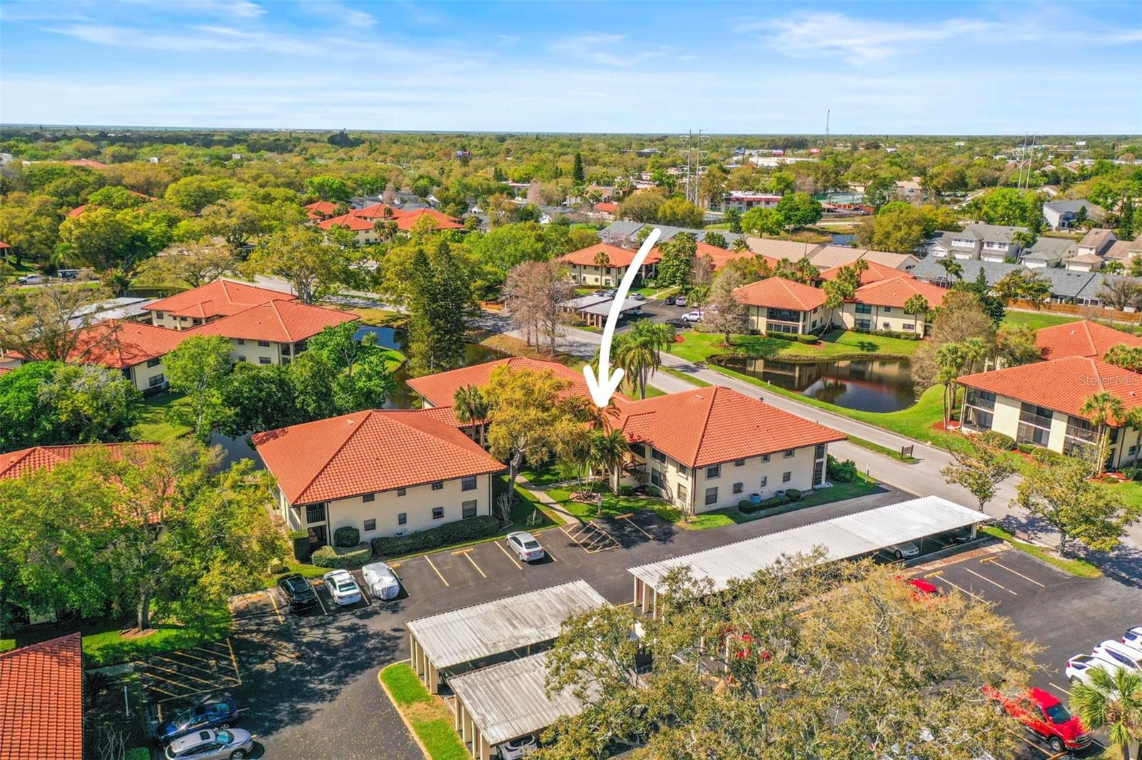 2113 HAMMOCK PINE BLVD #2113, CLEARWATER, FL, 33761