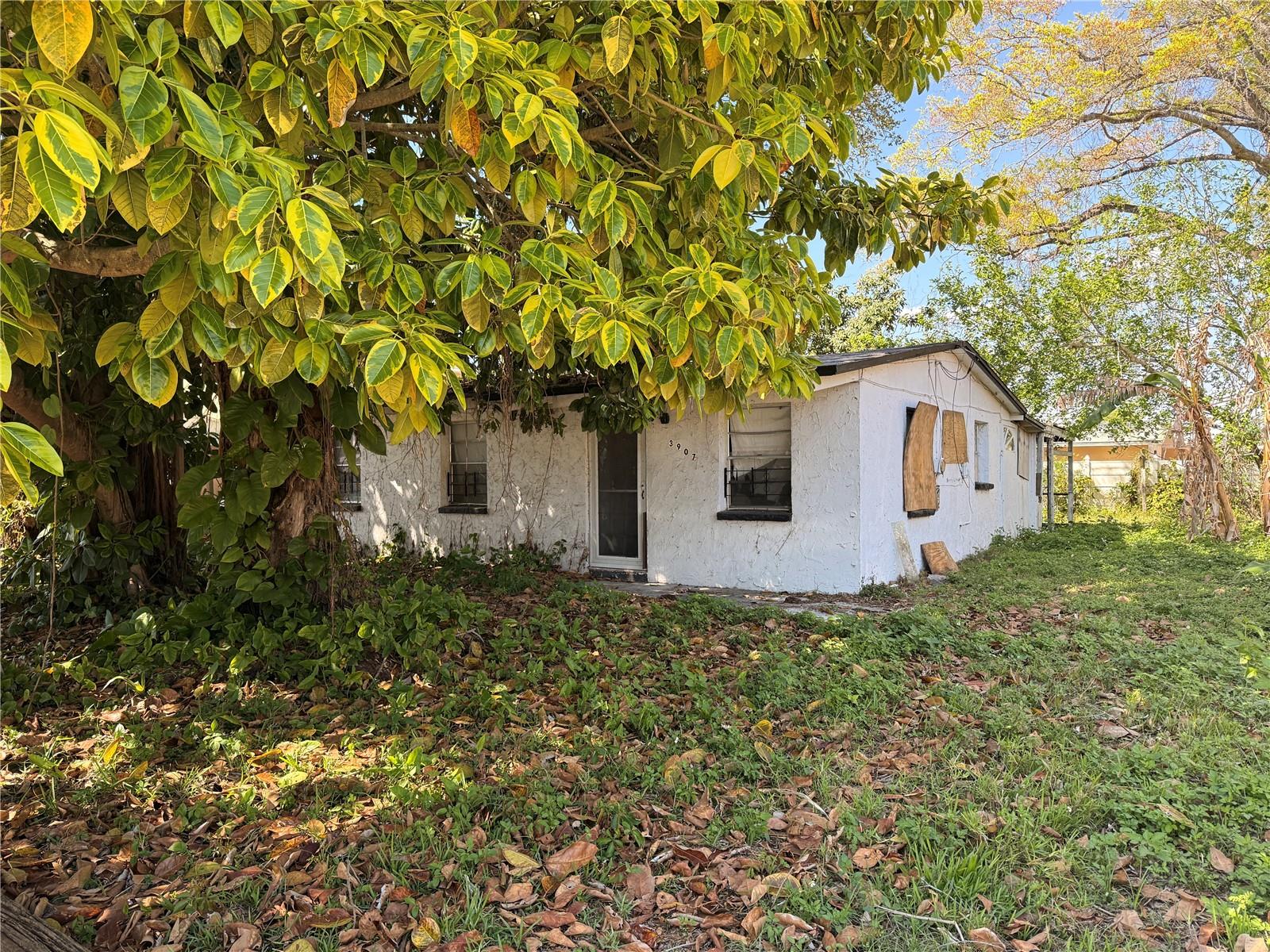 3907 SPENCE AVE, TAMPA, FL, 33614
