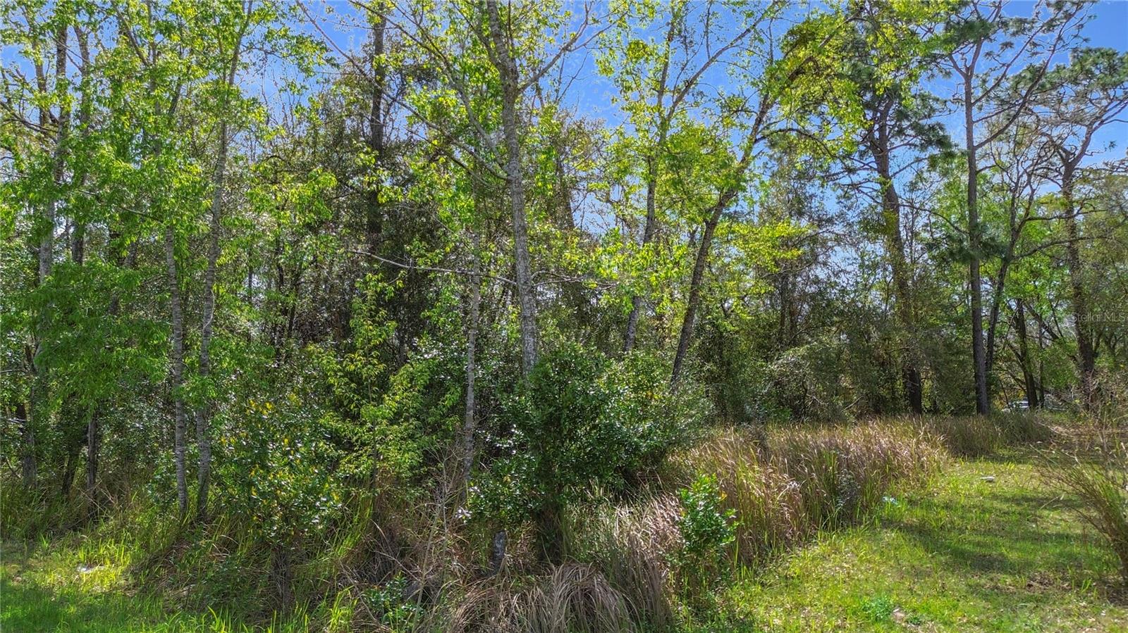 199 WATER TRAK, OCALA, FL, 34472