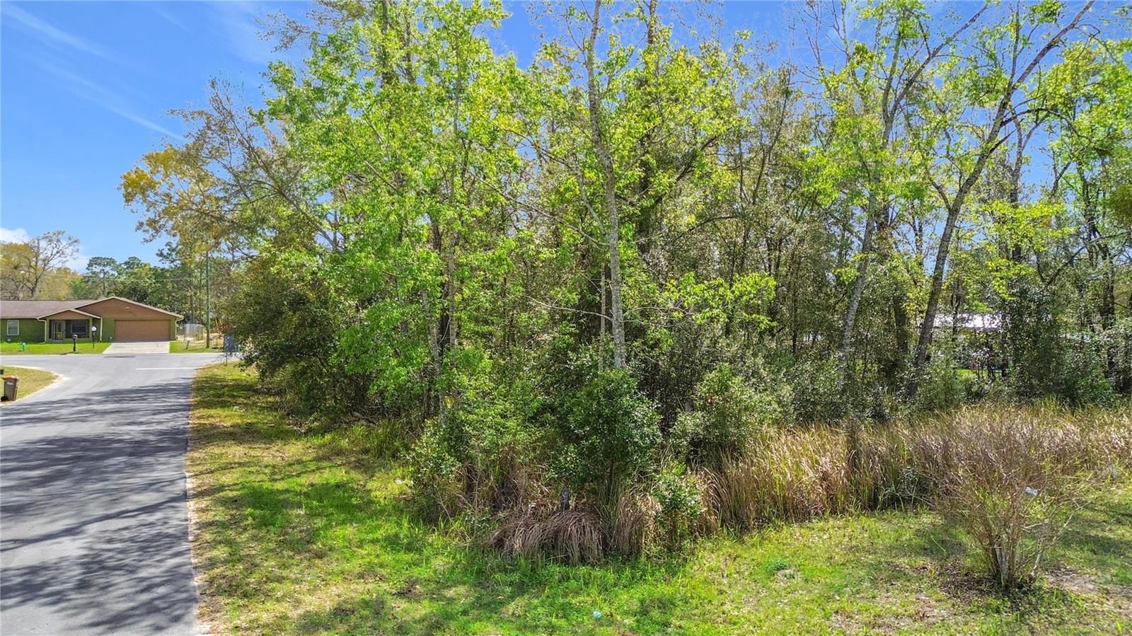 199 WATER TRAK, OCALA, FL, 34472