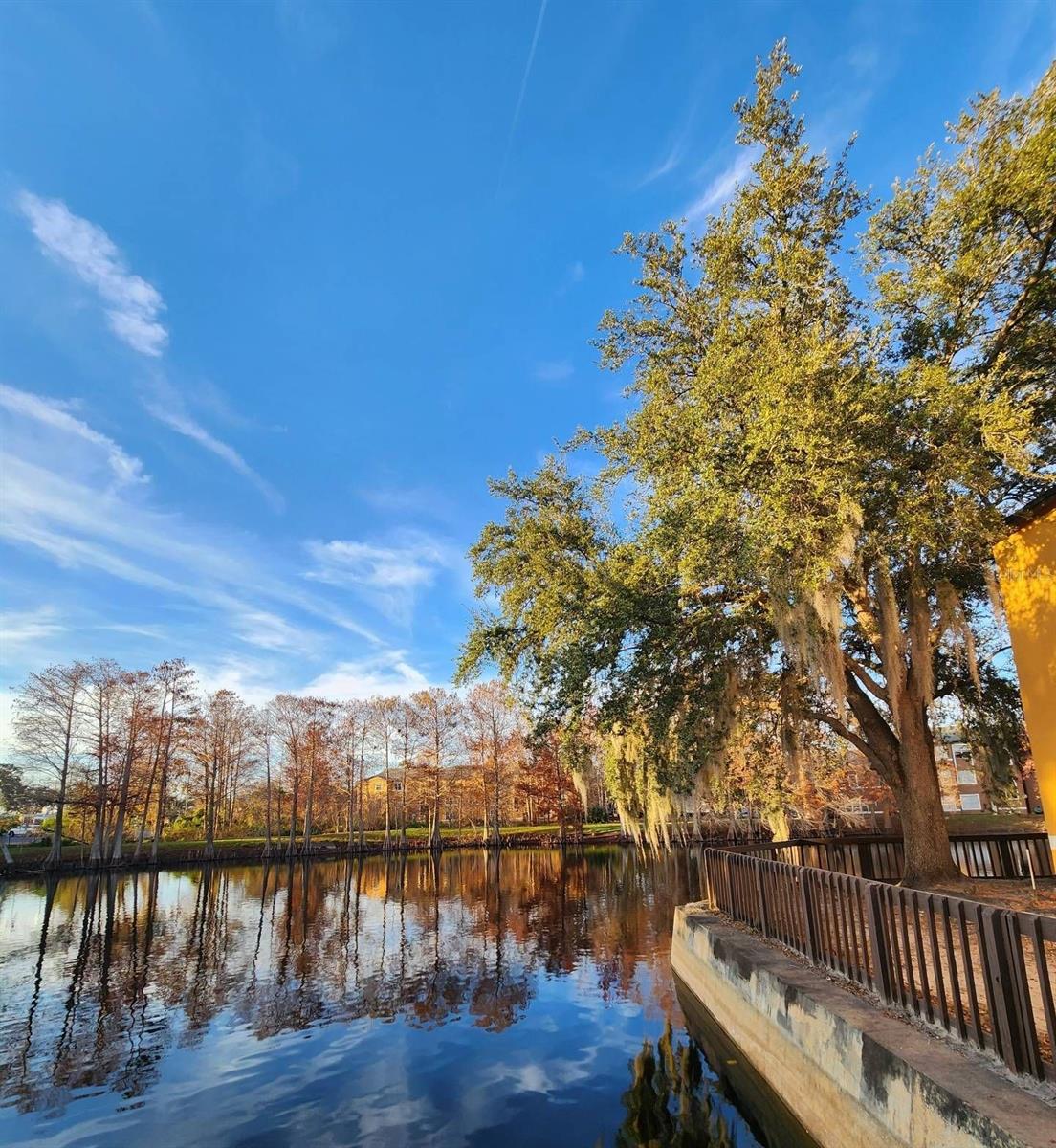 5737 GATLIN AVE #423, ORLANDO, FL, 32822