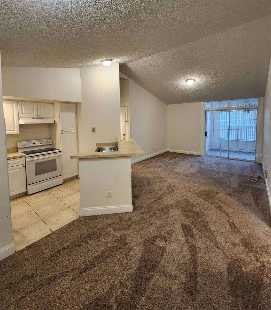 5737 GATLIN AVE #423, ORLANDO, FL, 32822