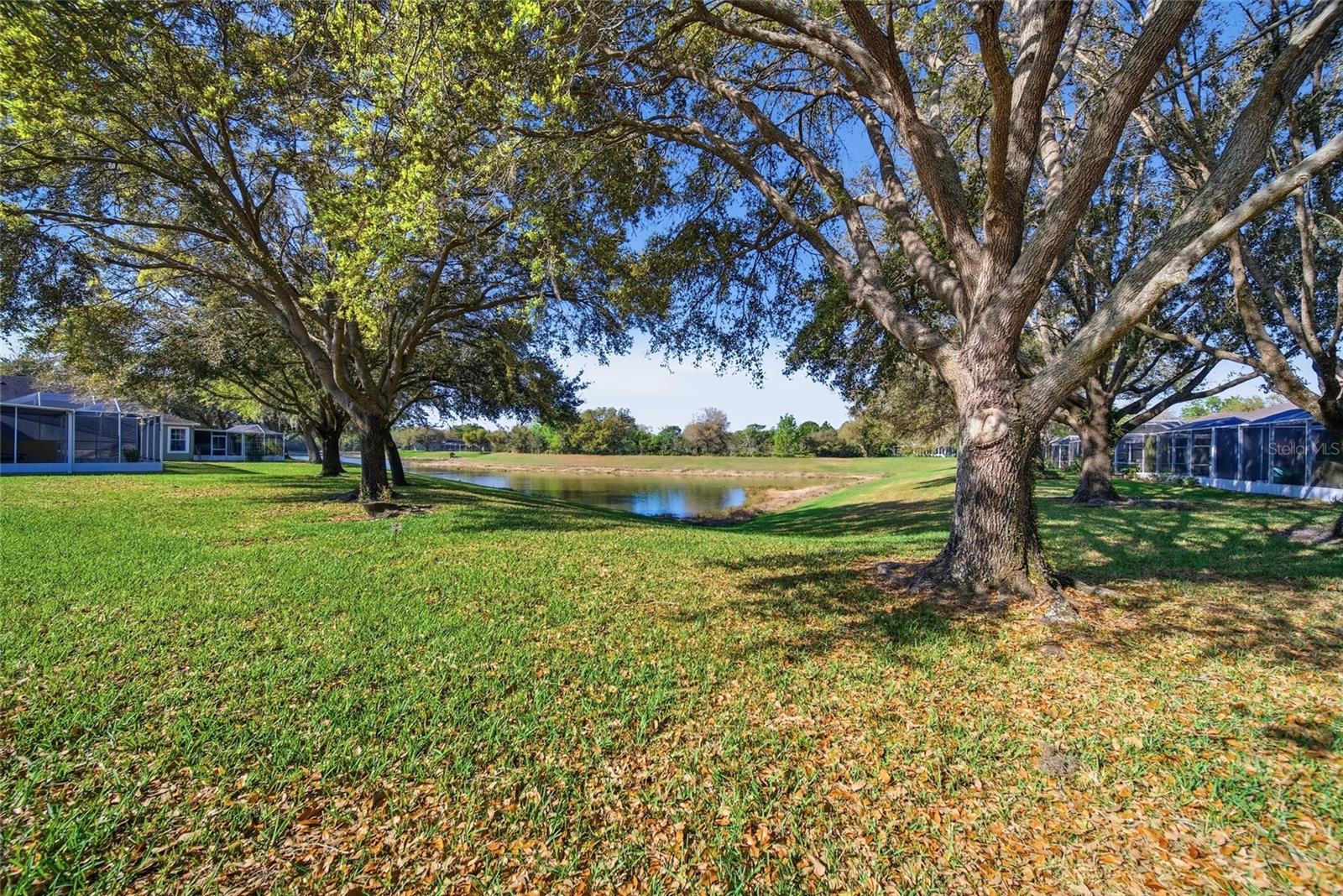 19120 WHITE WING PL, TAMPA, FL, 33647