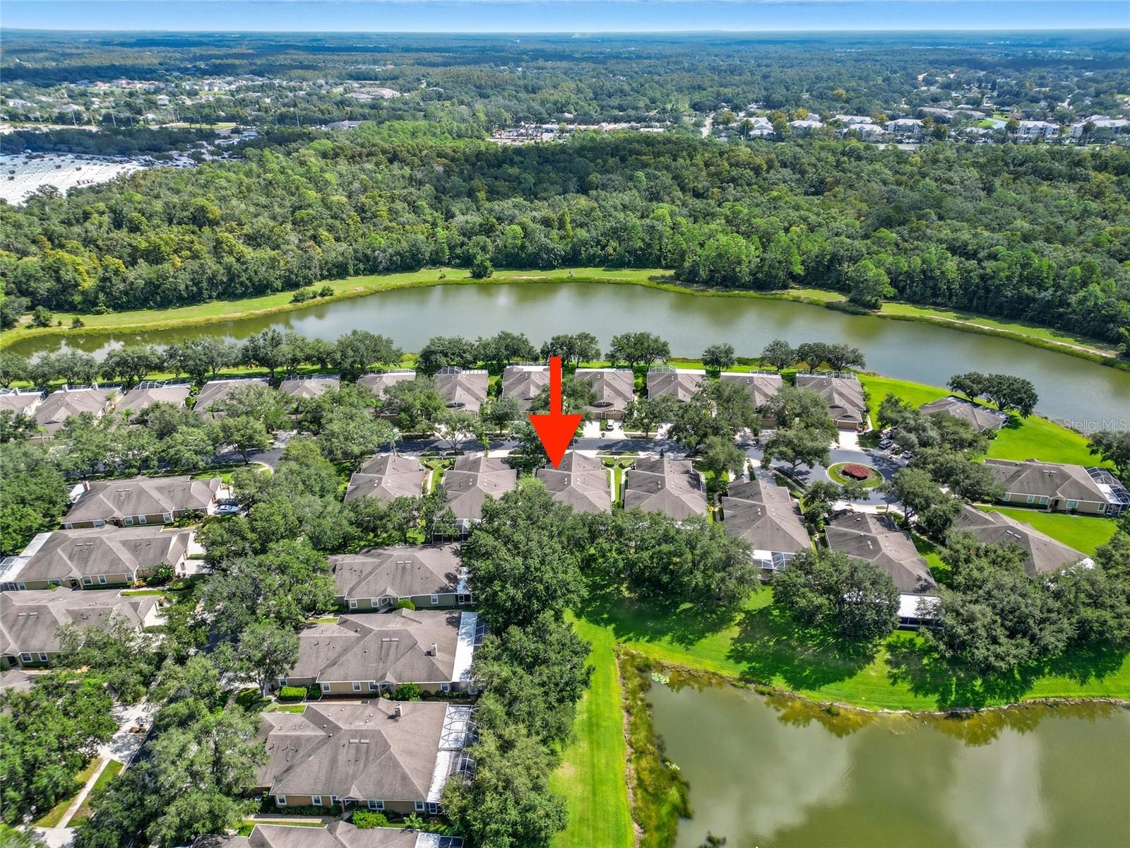 19120 WHITE WING PL, TAMPA, FL, 33647