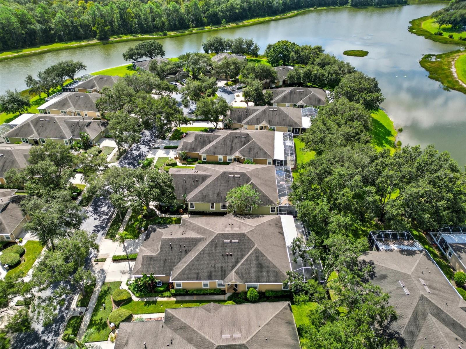 19120 WHITE WING PL, TAMPA, FL, 33647