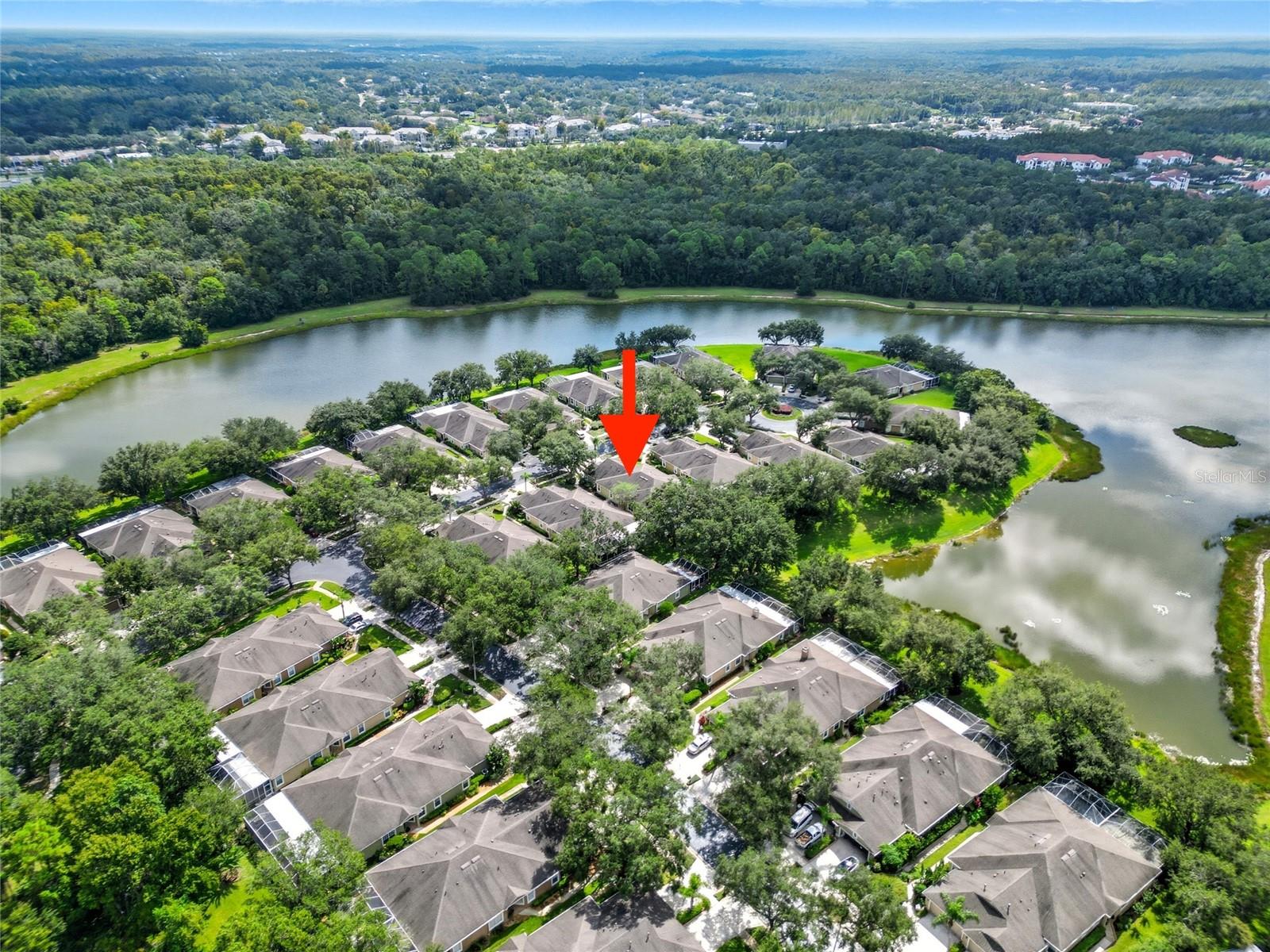19120 WHITE WING PL, TAMPA, FL, 33647