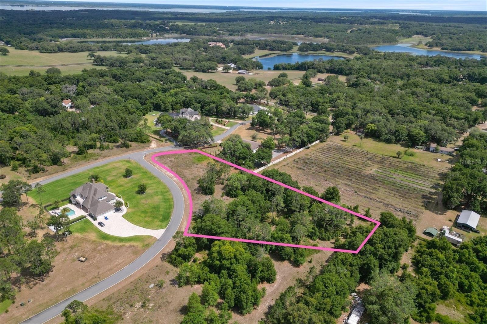 000 DARLINGTON AVE, LADY LAKE, FL, 32159