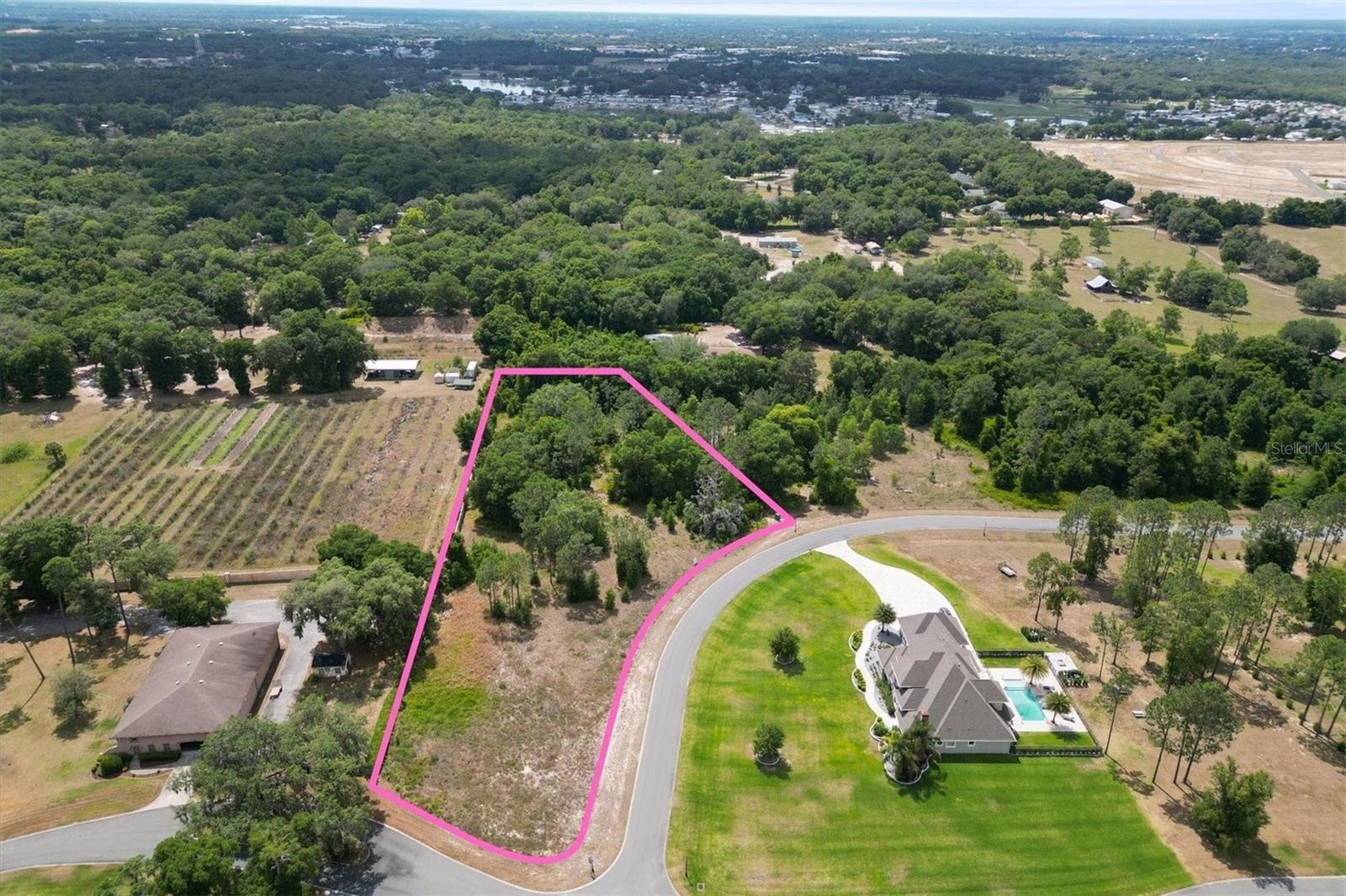 000 DARLINGTON AVE, LADY LAKE, FL, 32159