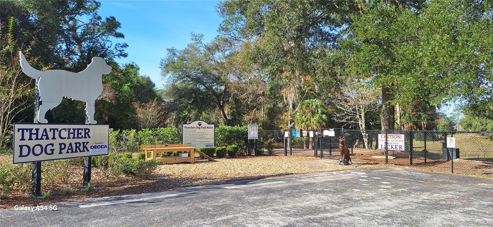 8430 SW 108TH PLACE RD, OCALA, FL, 34481