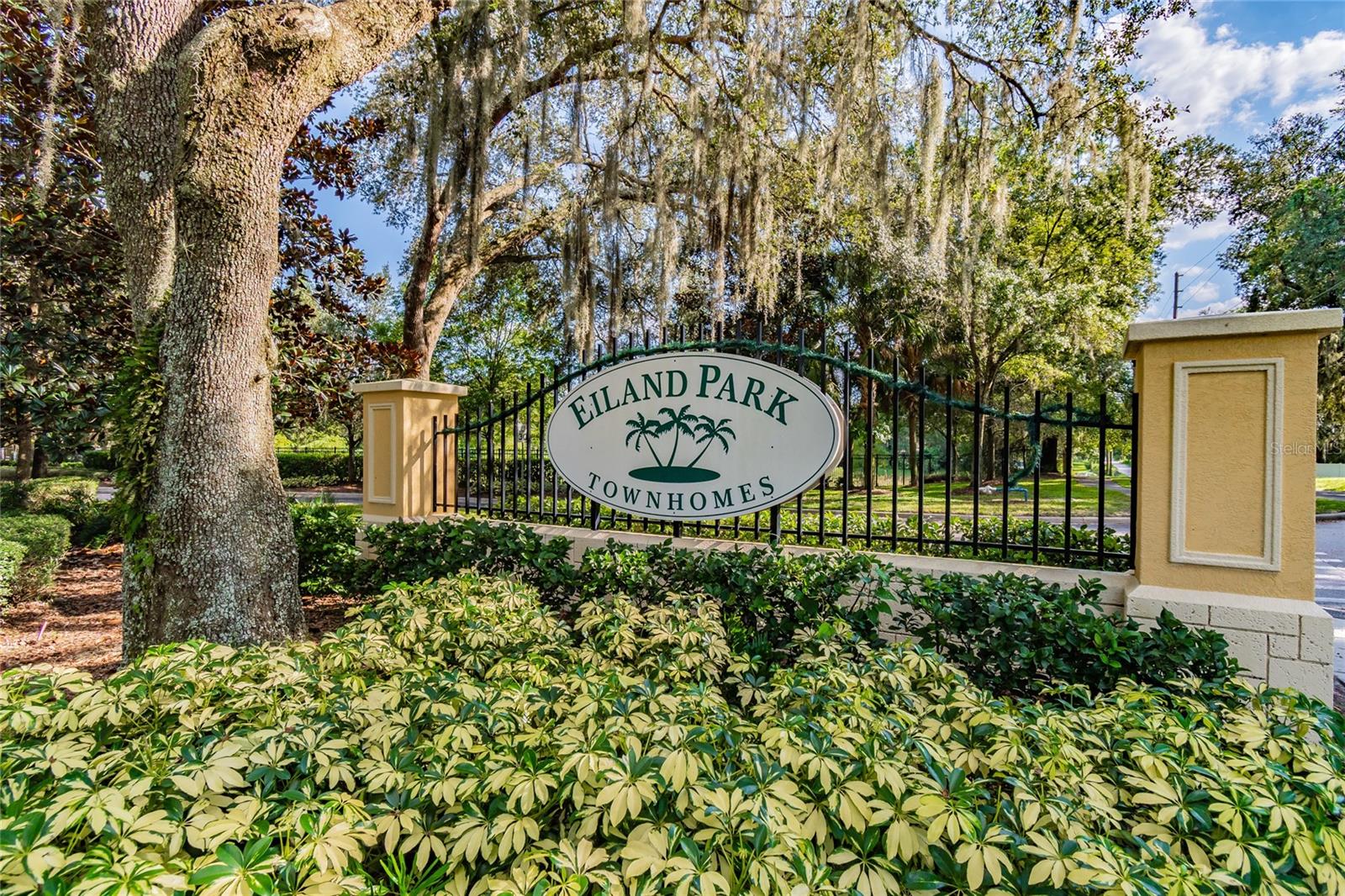 6246 MAISIE RD, ZEPHYRHILLS, FL, 33542