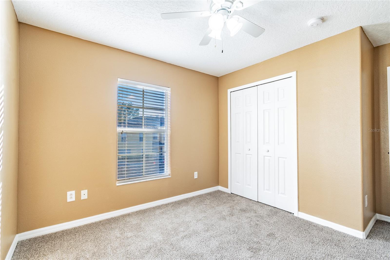 6246 MAISIE RD, ZEPHYRHILLS, FL, 33542
