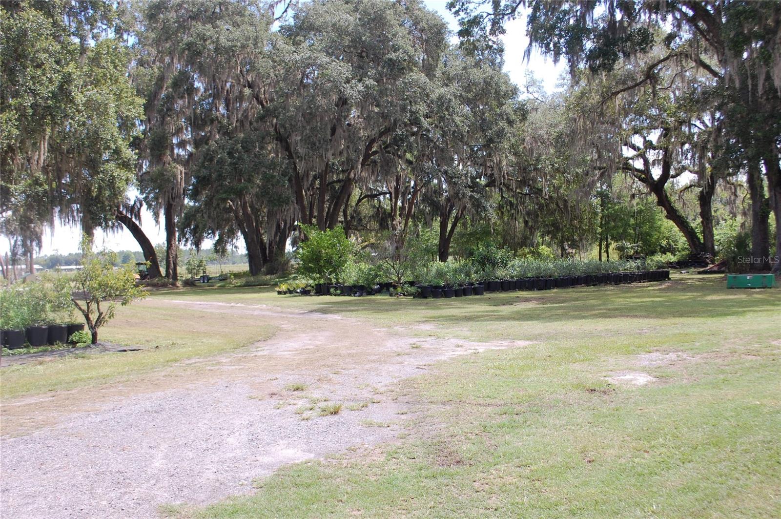 18811 SE 243RD ST, HAWTHORNE, FL, 32640