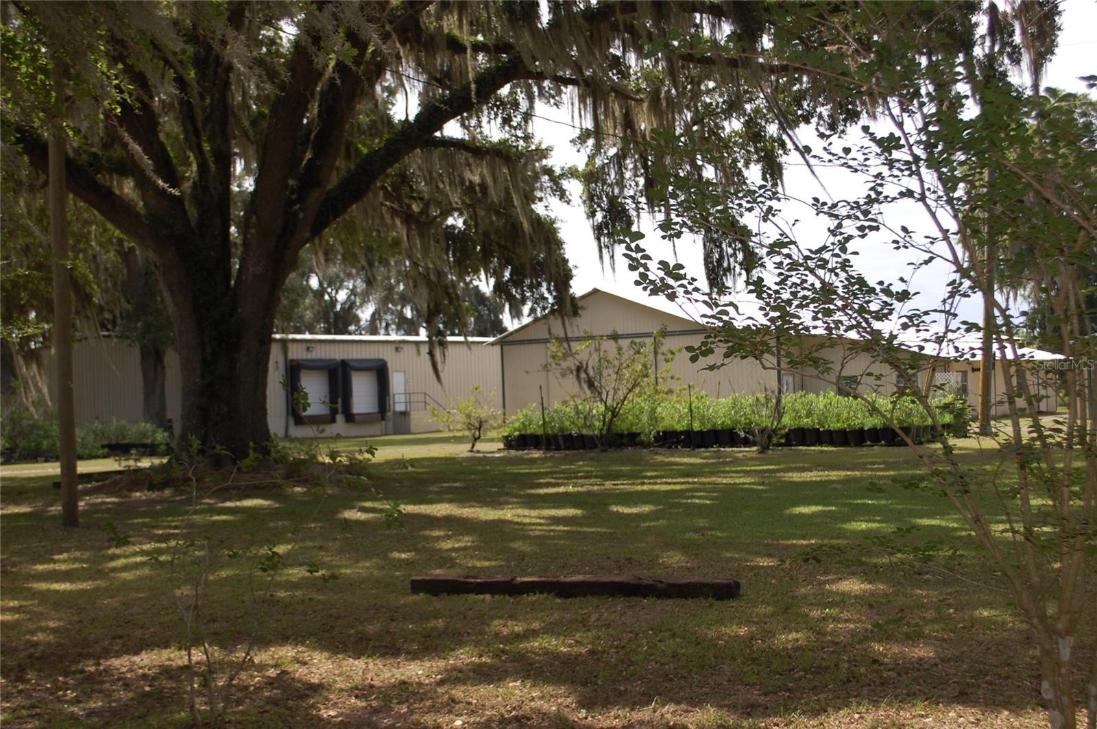 18811 SE 243RD ST, HAWTHORNE, FL, 32640