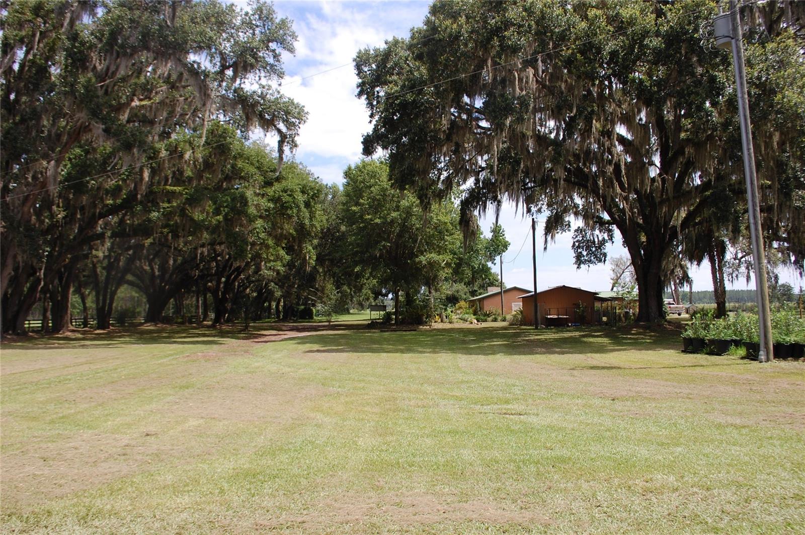 18811 SE 243RD ST, HAWTHORNE, FL, 32640