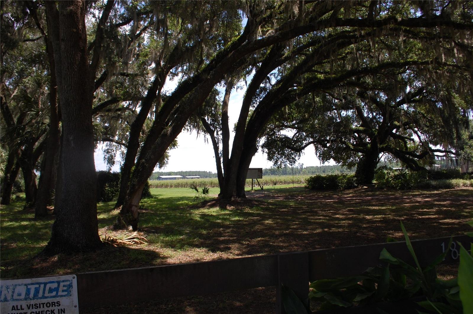 18811 SE 243RD ST, HAWTHORNE, FL, 32640