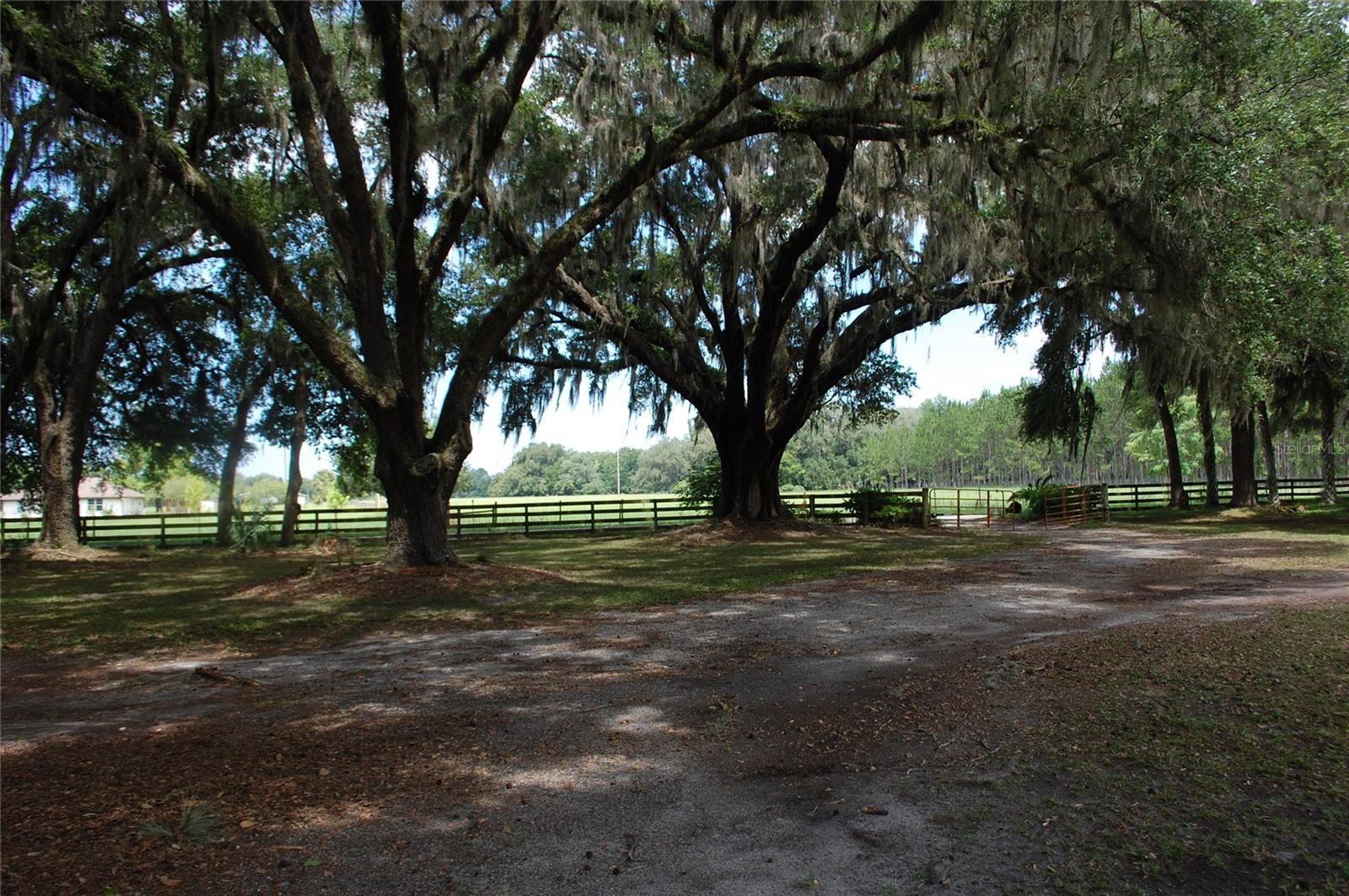 18811 SE 243RD ST, HAWTHORNE, FL, 32640
