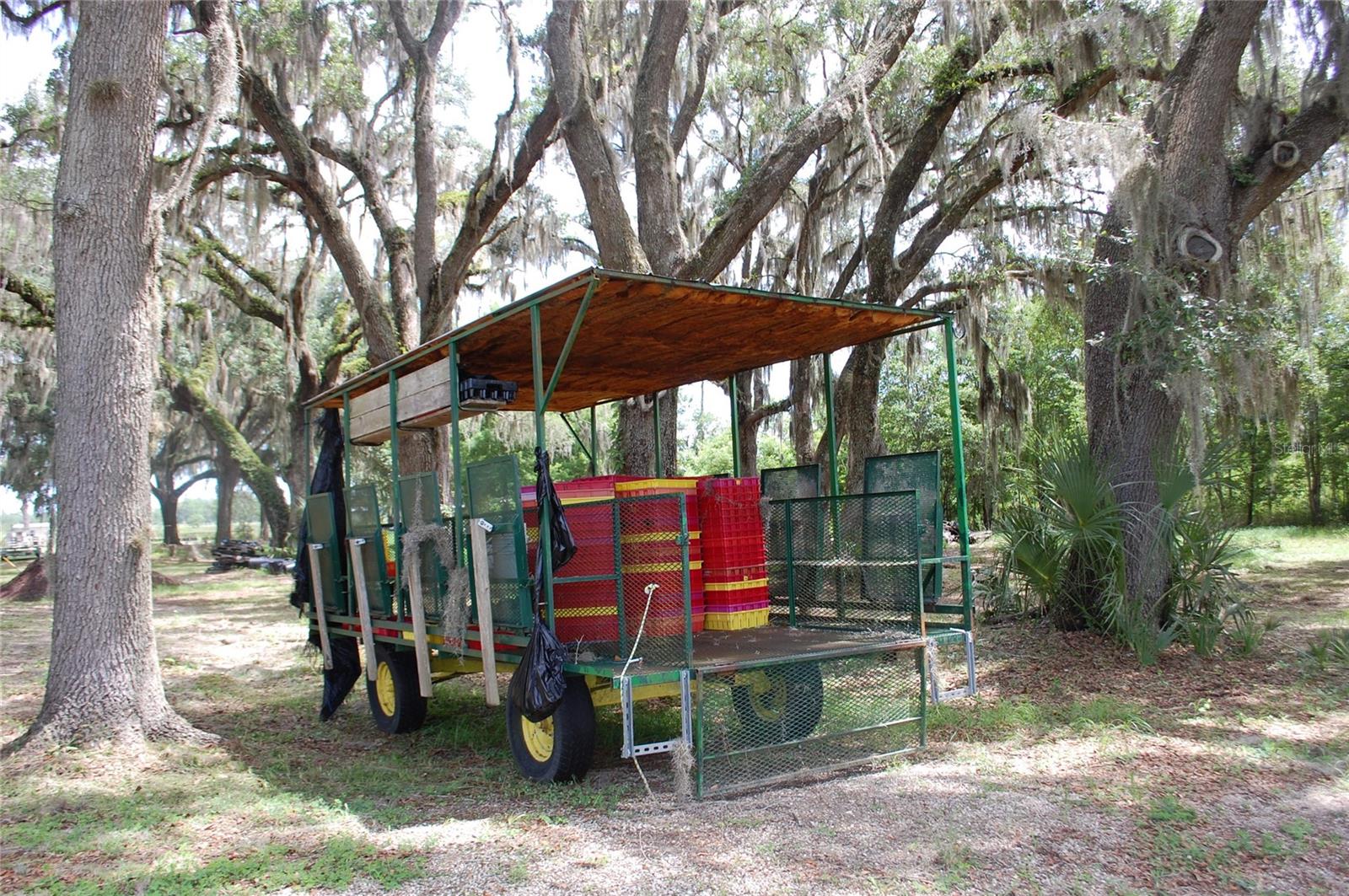 18811 SE 243RD ST, HAWTHORNE, FL, 32640