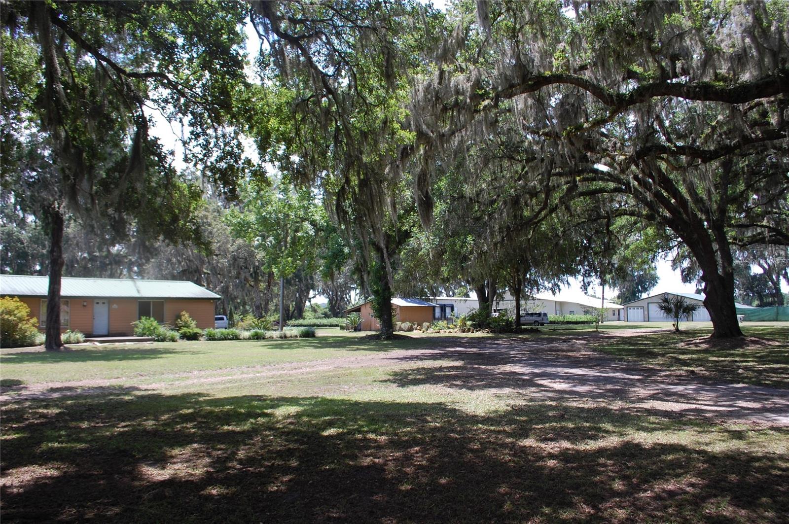 18811 SE 243RD ST, HAWTHORNE, FL, 32640