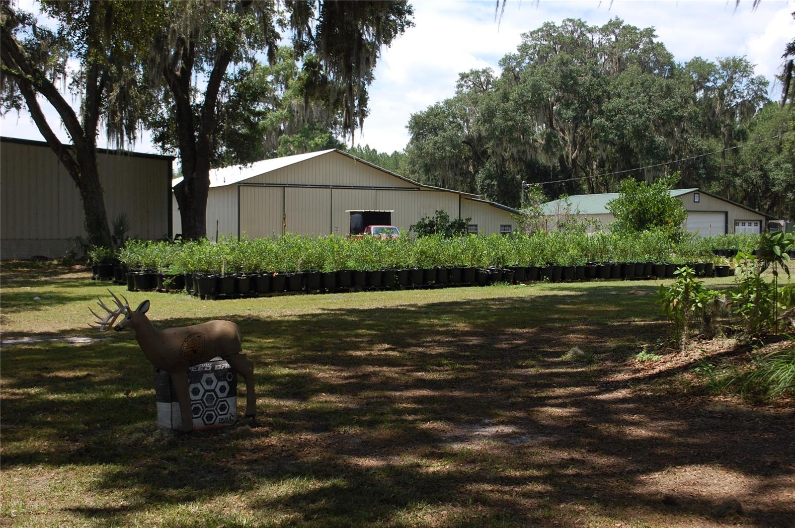 18811 SE 243RD ST, HAWTHORNE, FL, 32640
