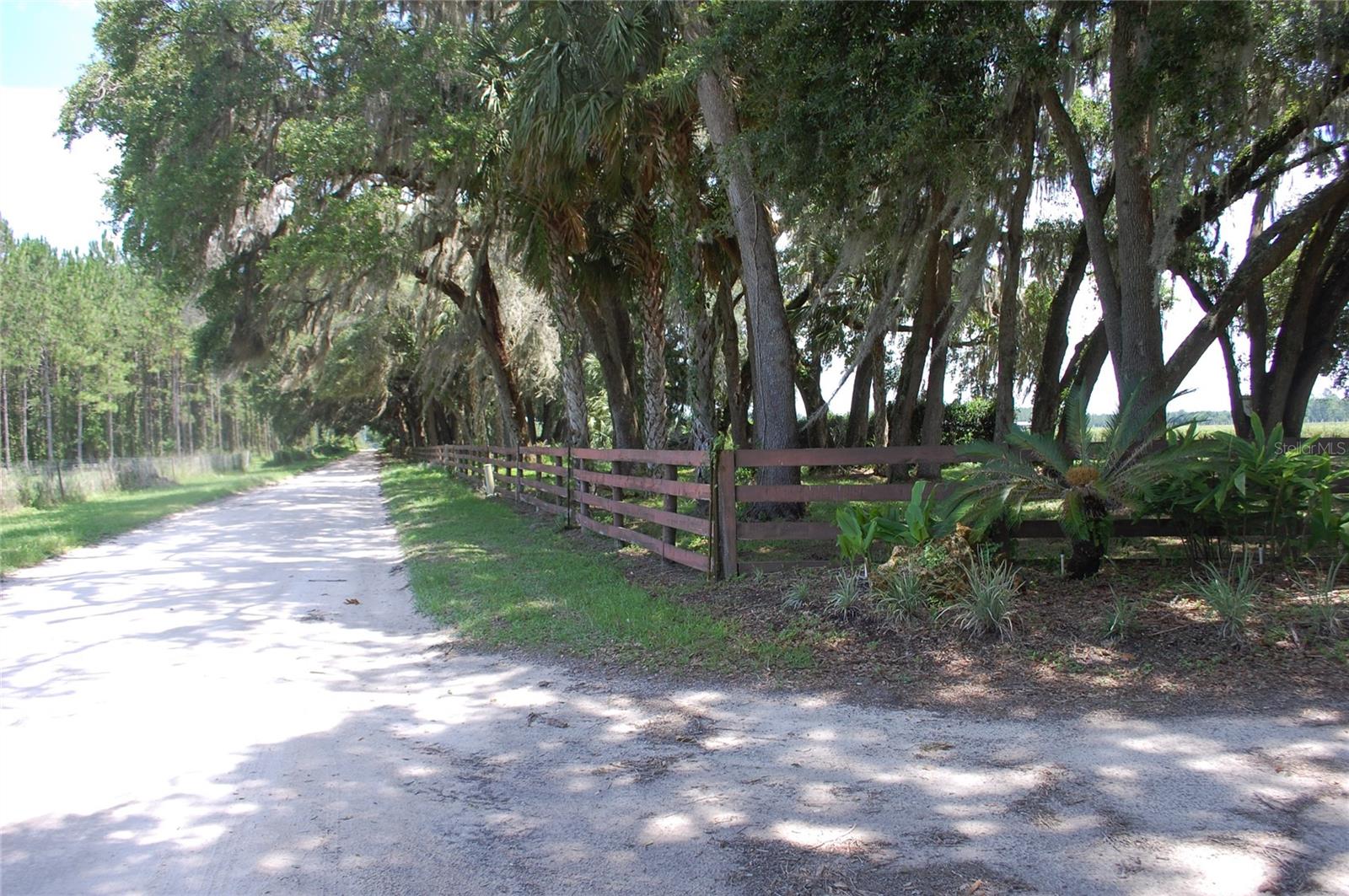 18811 SE 243RD ST, HAWTHORNE, FL, 32640