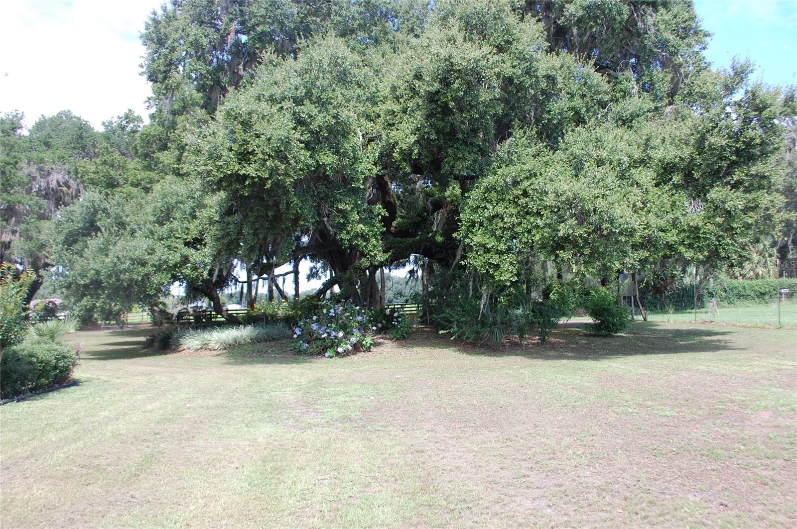 18811 SE 243RD ST, HAWTHORNE, FL, 32640