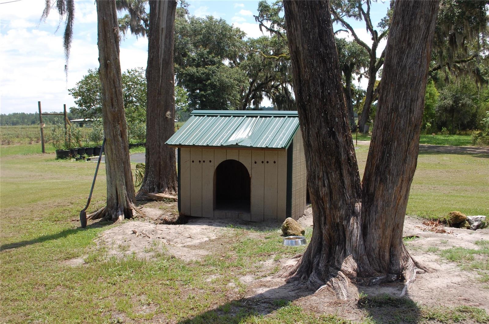 18811 SE 243RD ST, HAWTHORNE, FL, 32640