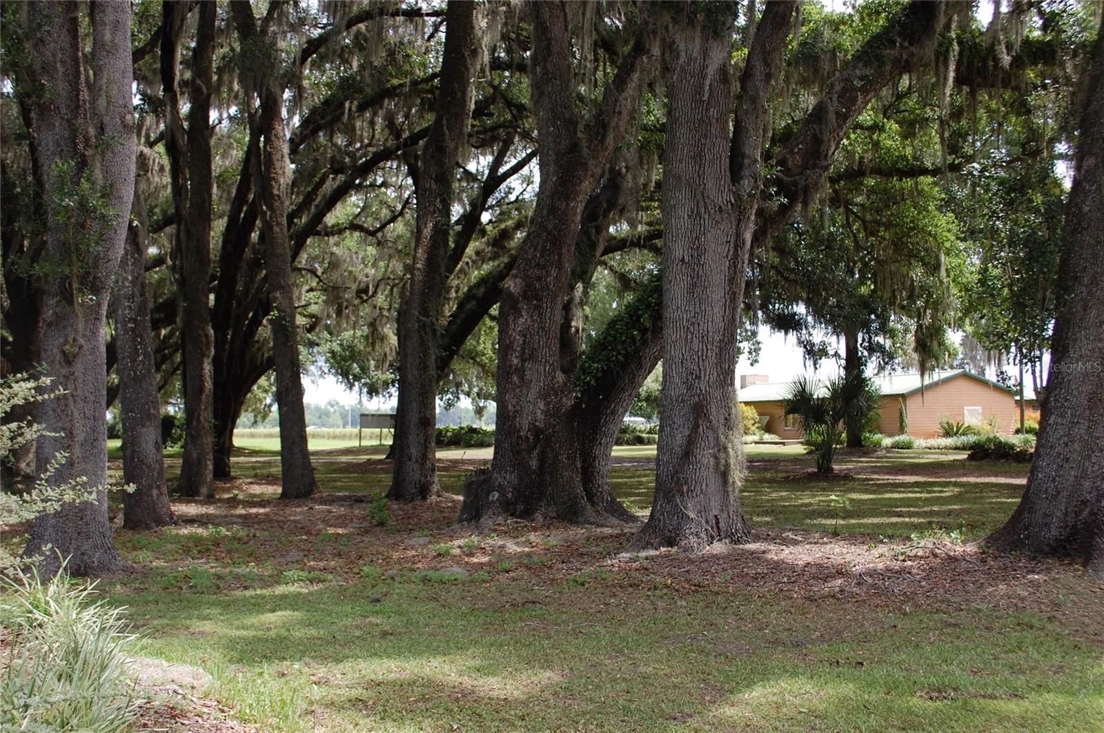 18811 SE 243RD ST, HAWTHORNE, FL, 32640