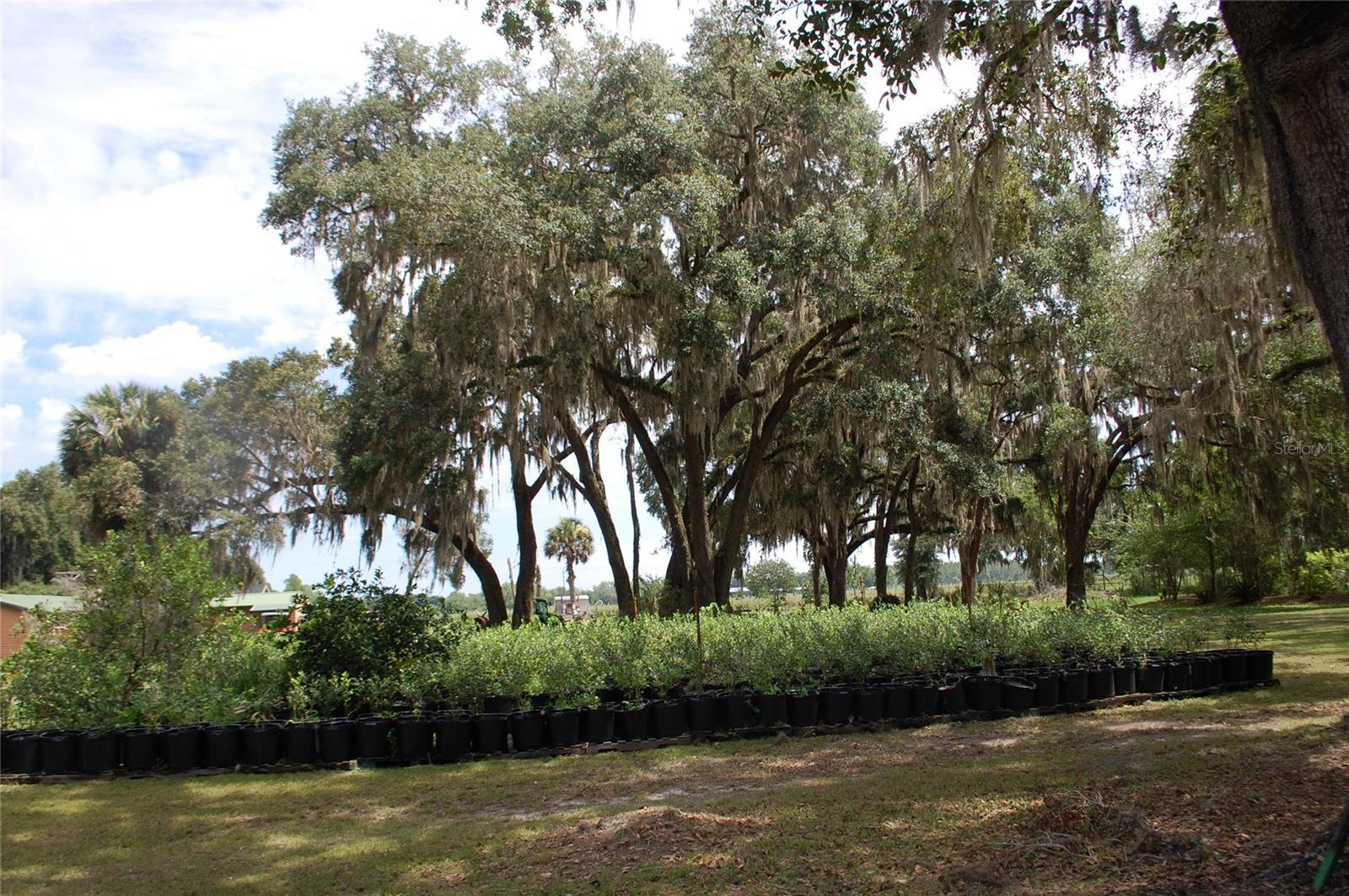18811 SE 243RD ST, HAWTHORNE, FL, 32640