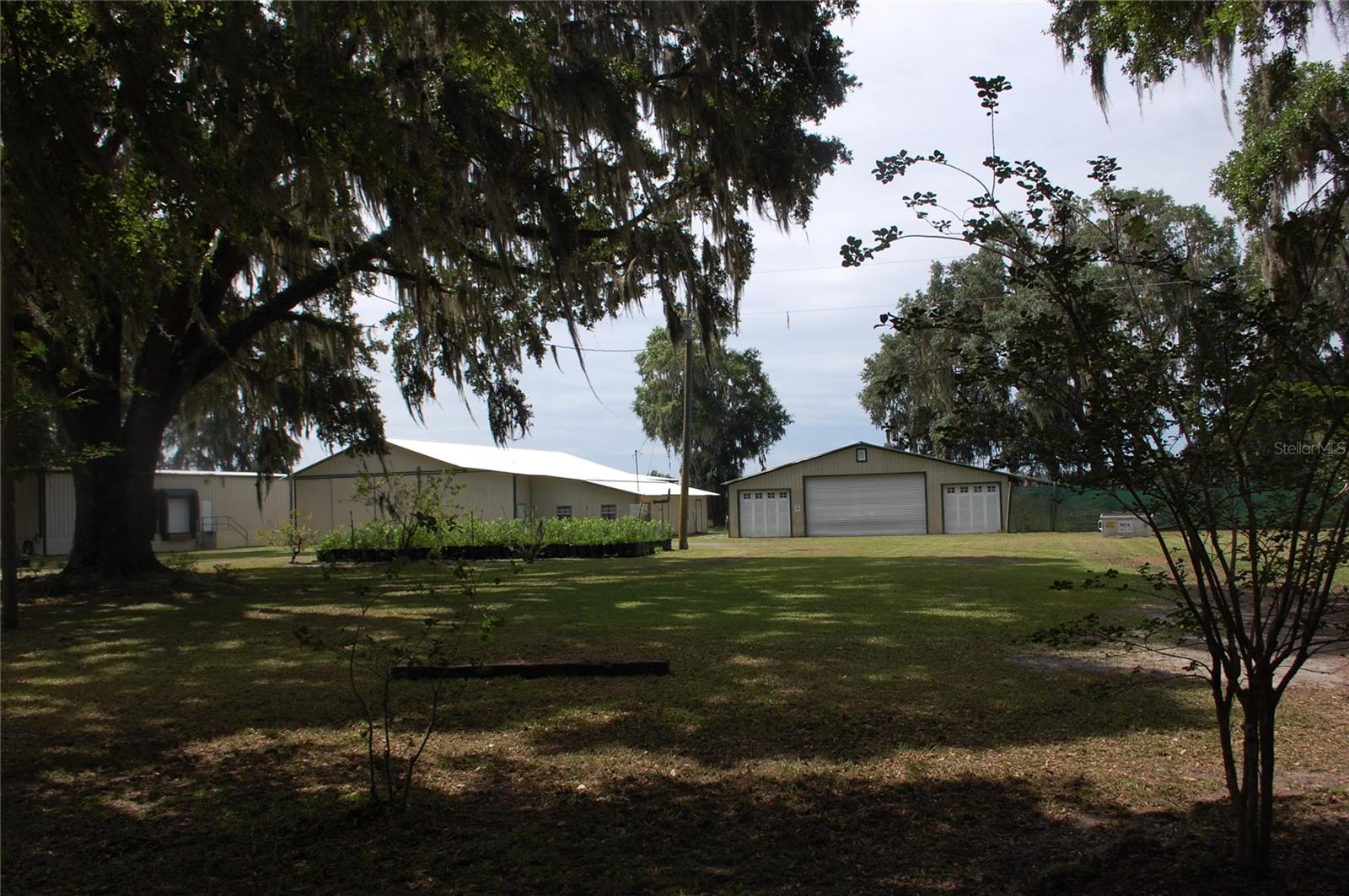 18811 SE 243RD ST, HAWTHORNE, FL, 32640