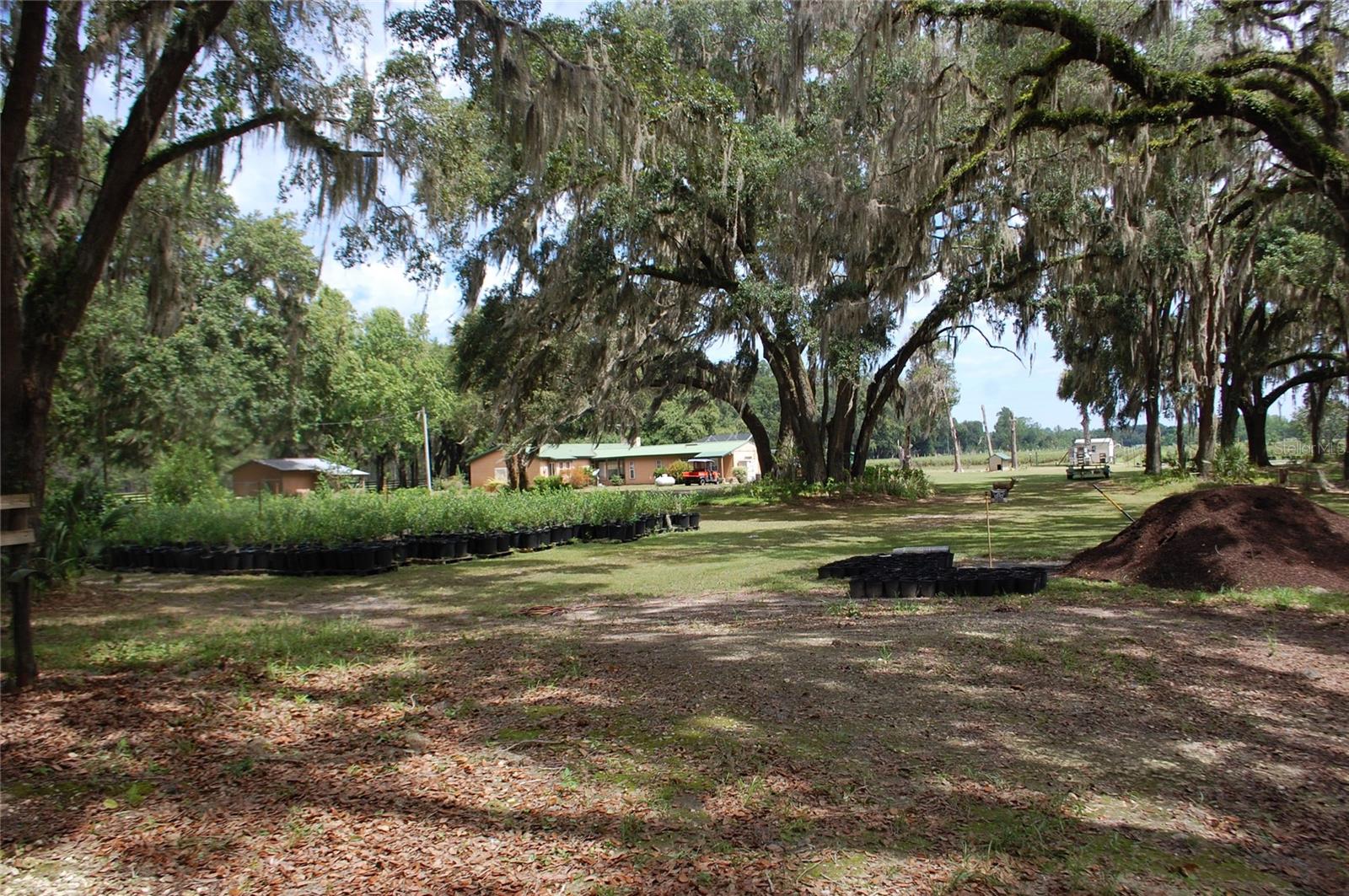 18811 SE 243RD ST, HAWTHORNE, FL, 32640