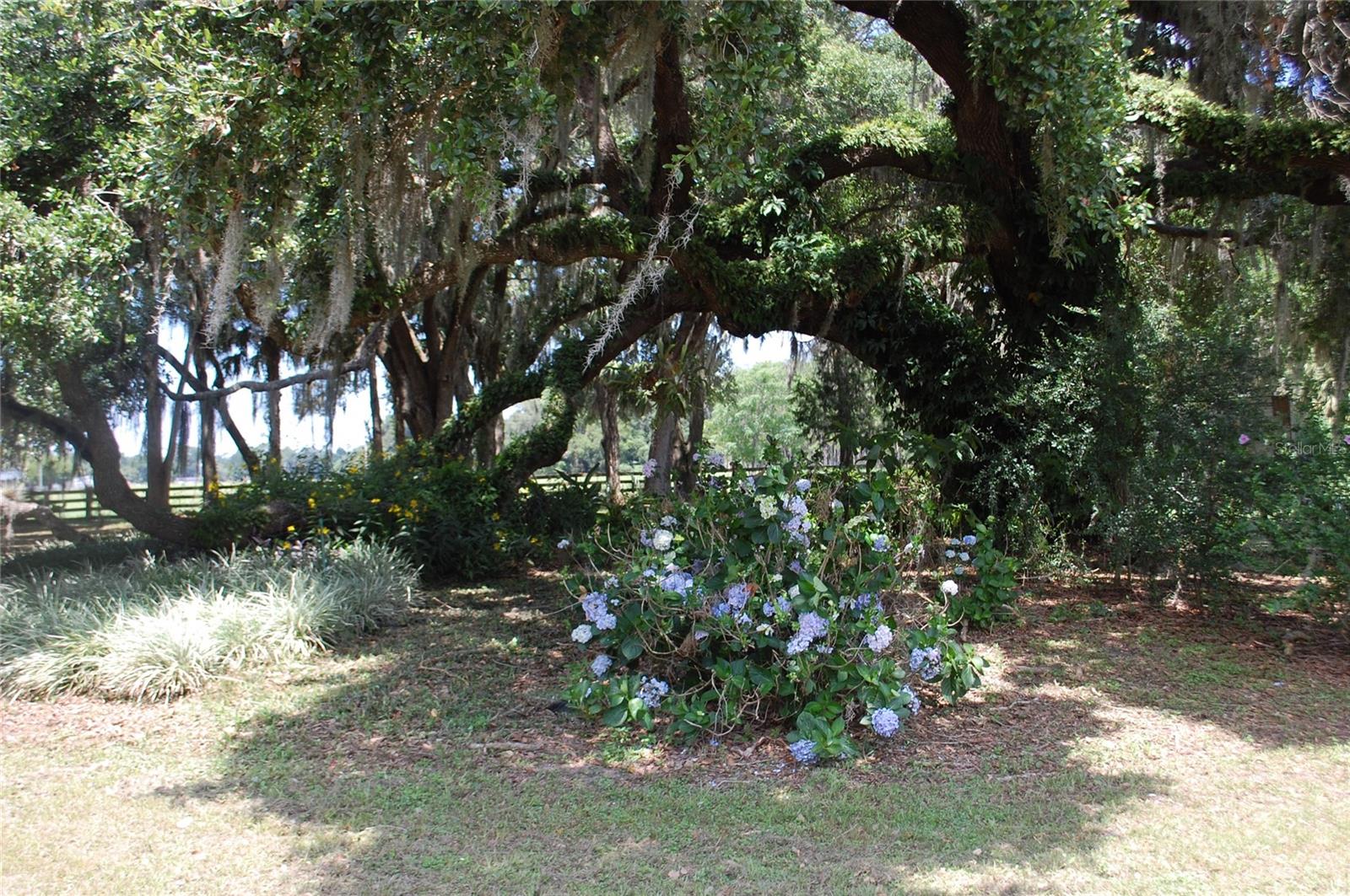 18811 SE 243RD ST, HAWTHORNE, FL, 32640