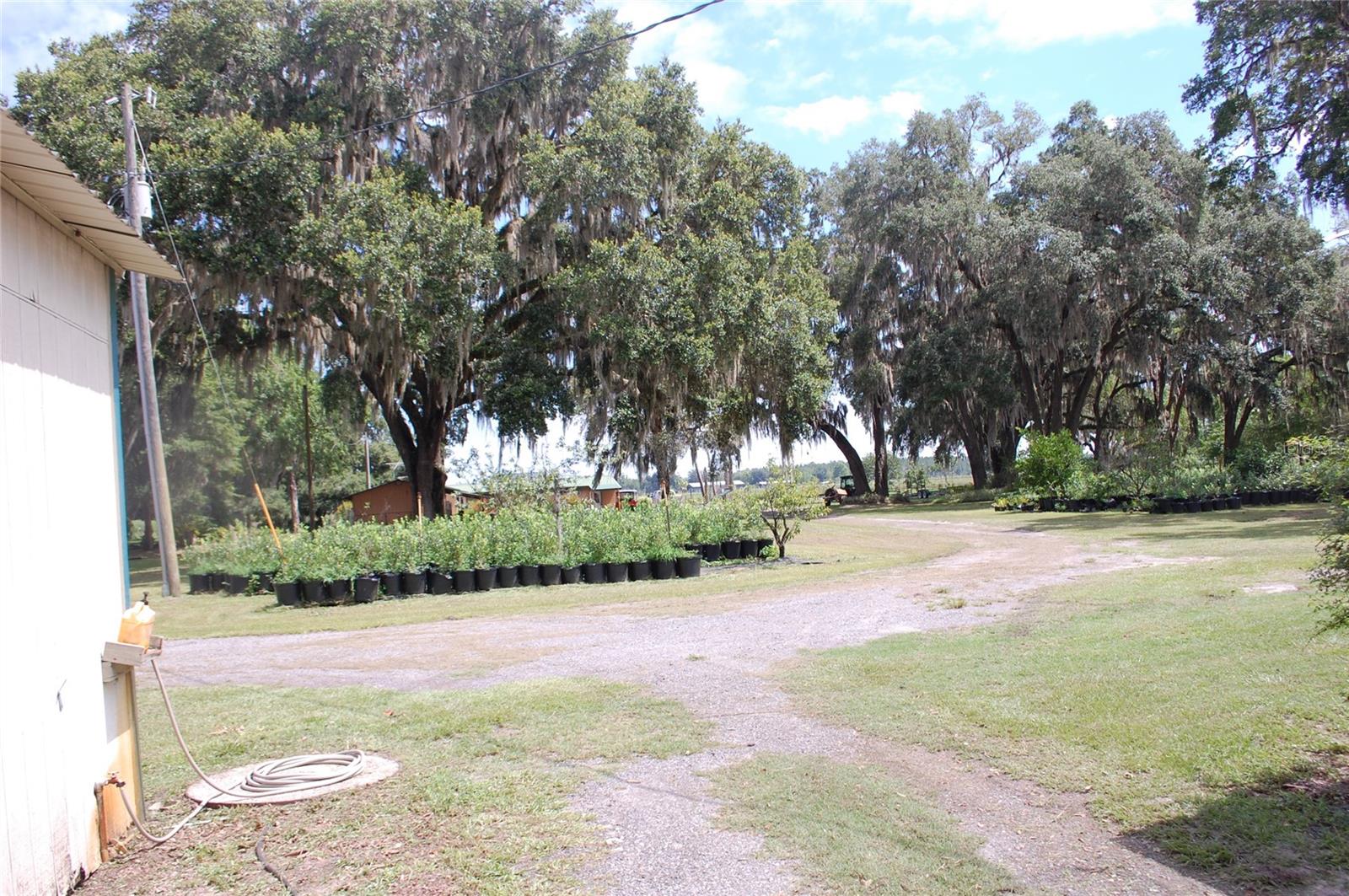 18811 SE 243RD ST, HAWTHORNE, FL, 32640