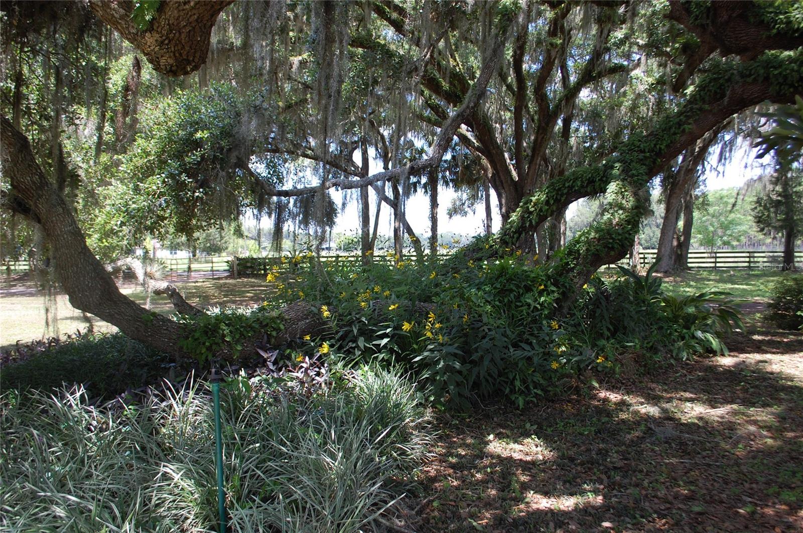 18811 SE 243RD ST, HAWTHORNE, FL, 32640