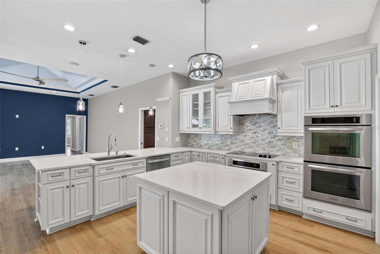 5838 AUDUBON MANOR BLVD, LITHIA, FL, 33547