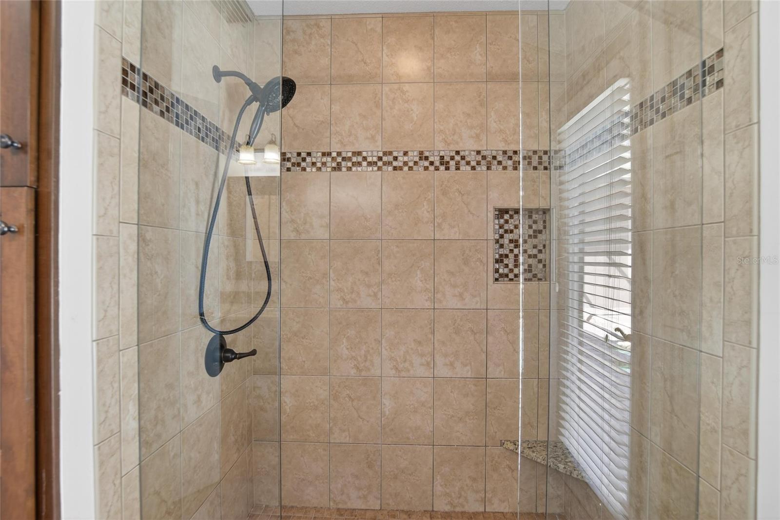5838 AUDUBON MANOR BLVD, LITHIA, FL, 33547
