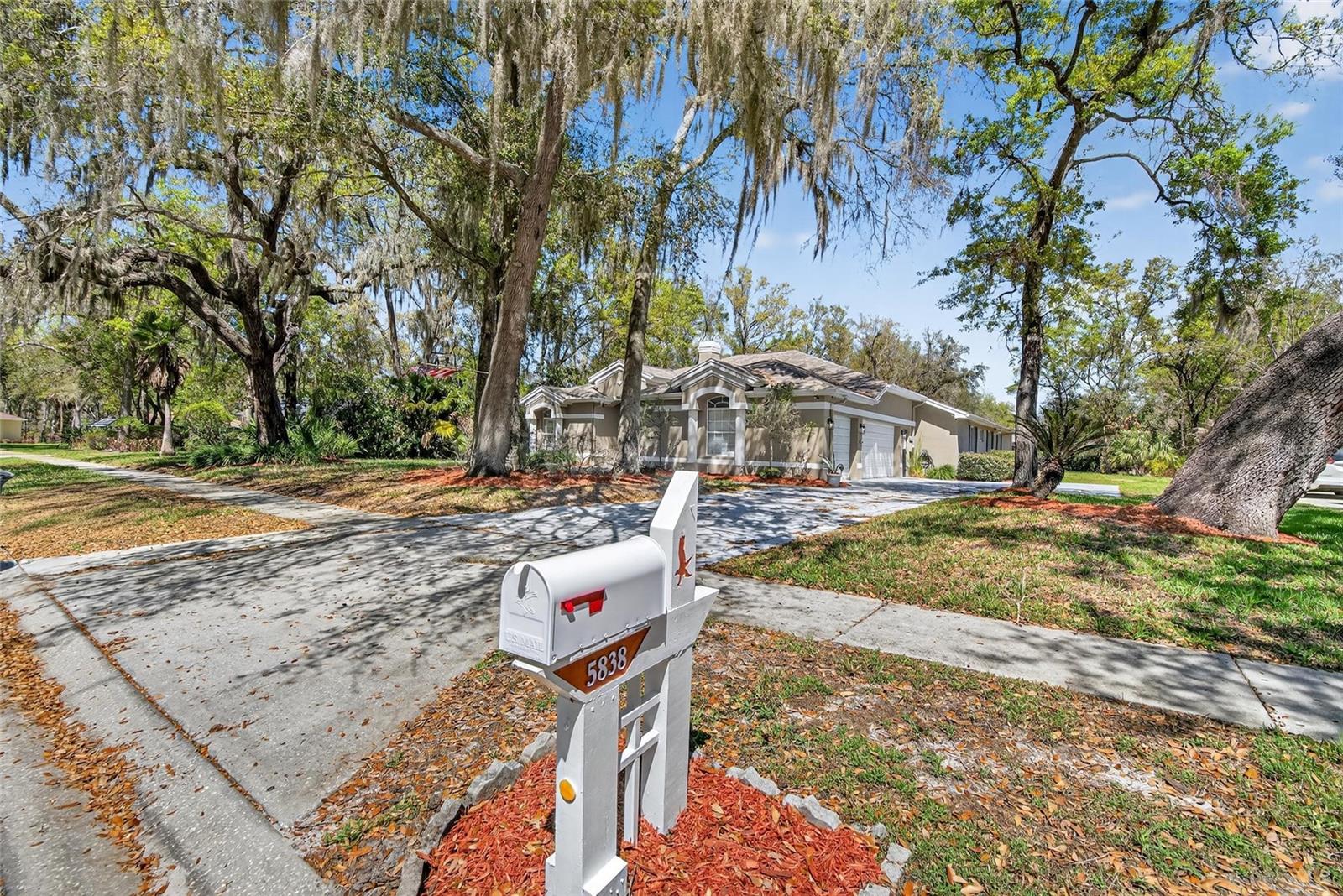 5838 AUDUBON MANOR BLVD, LITHIA, FL, 33547