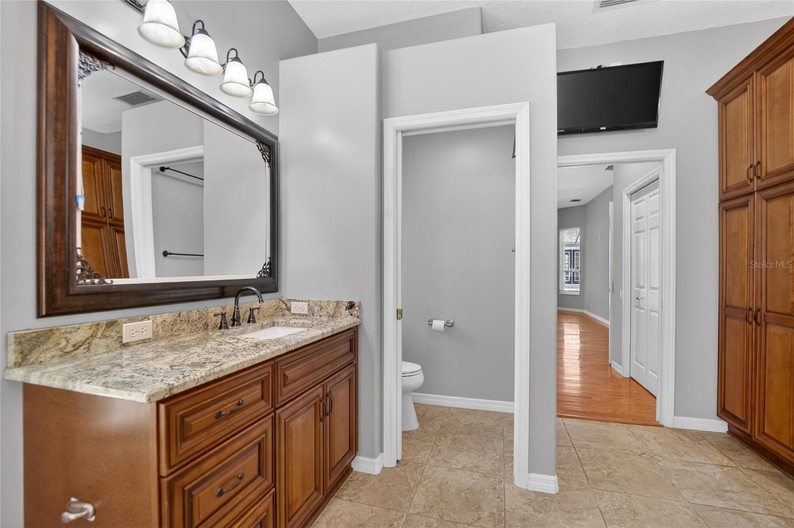 5838 AUDUBON MANOR BLVD, LITHIA, FL, 33547