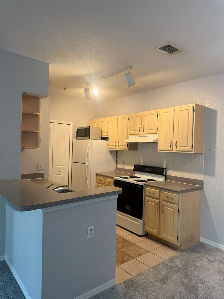 8904 LEGACY CT #209, KISSIMMEE, FL, 34747