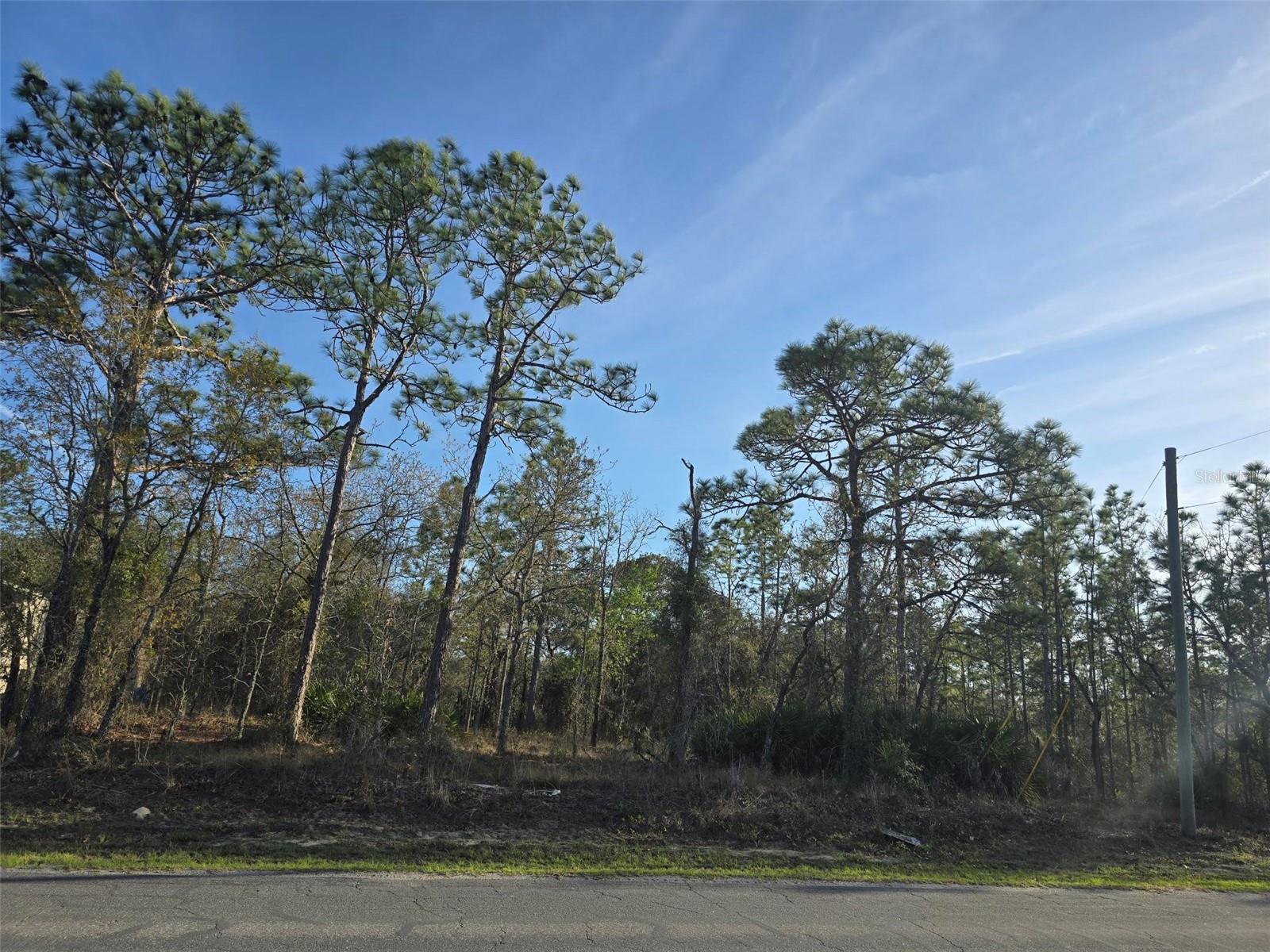 13070 QUIGLEY AVE, WEEKI WACHEE, FL, 34614