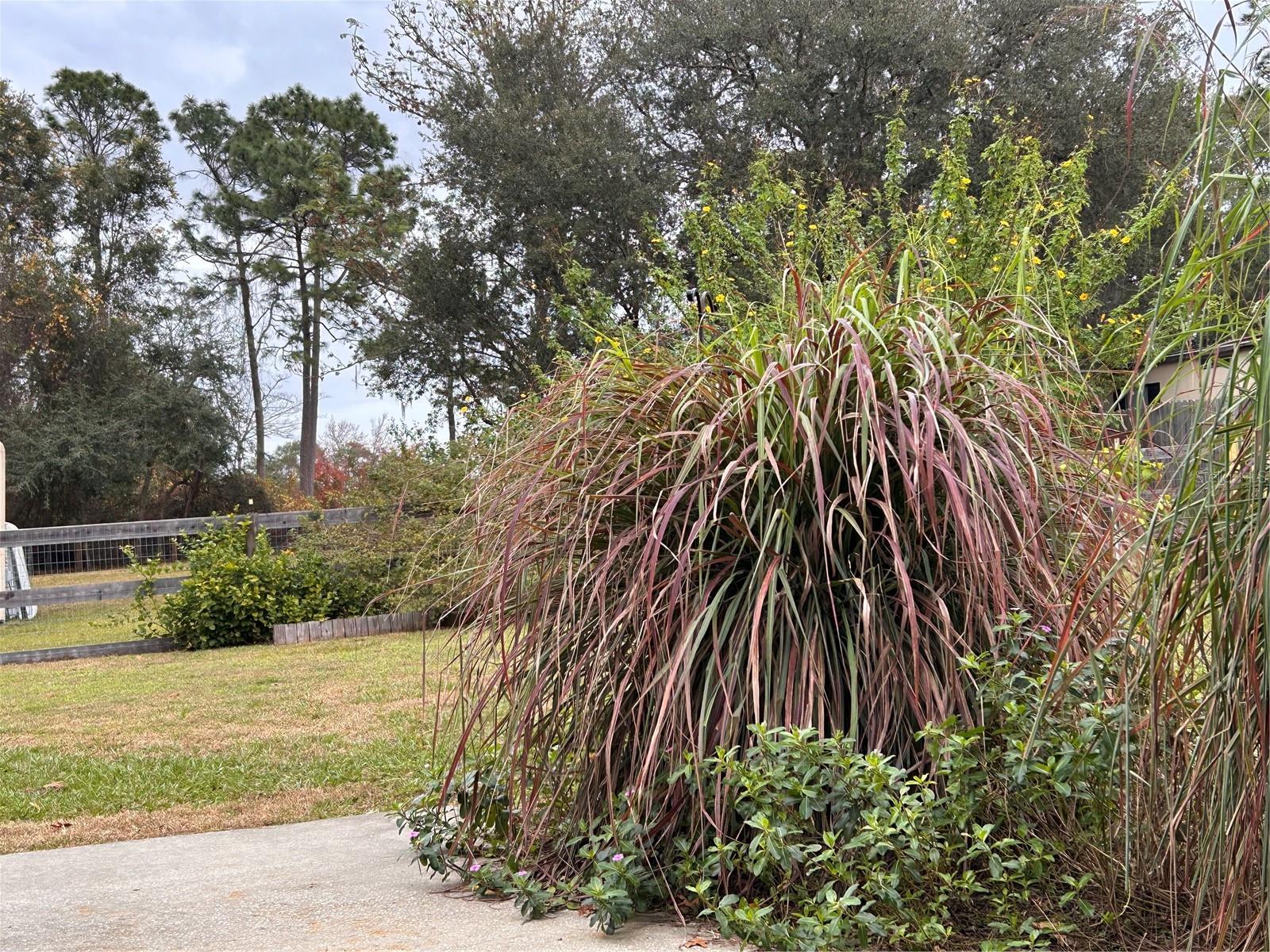 655 SE 162ND TER, SILVER SPRINGS, FL, 34488