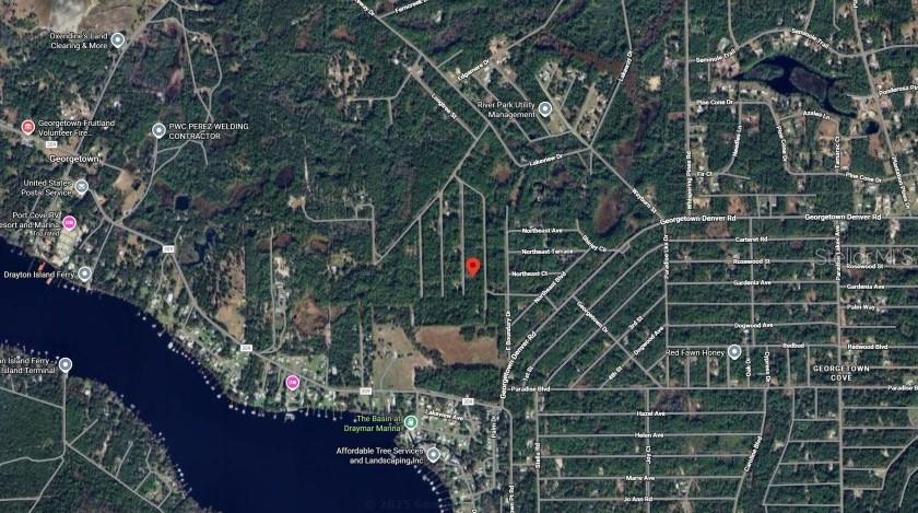 138 MOSSWOOD ST, GEORGETOWN, FL, 32139