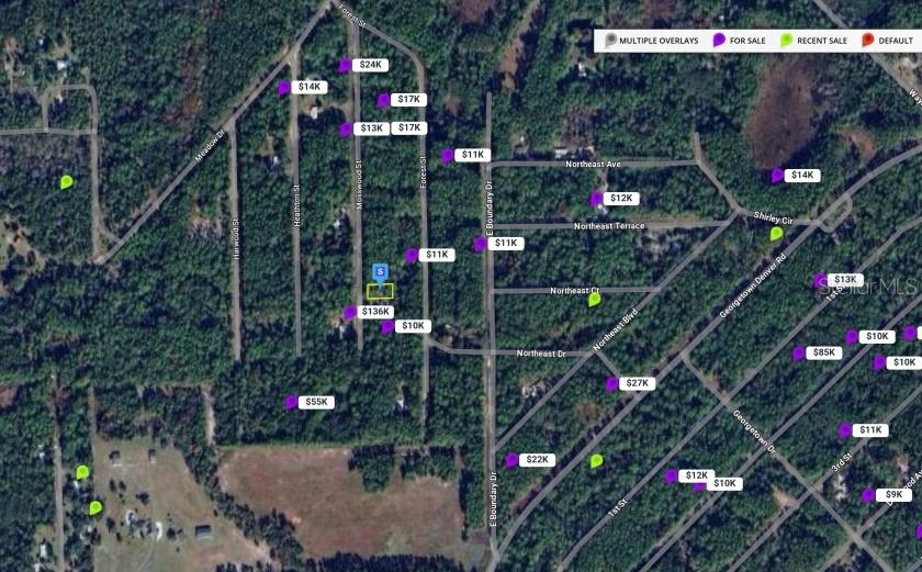 138 MOSSWOOD ST, GEORGETOWN, FL, 32139