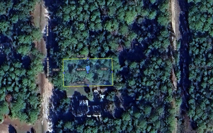 138 MOSSWOOD ST, GEORGETOWN, FL, 32139