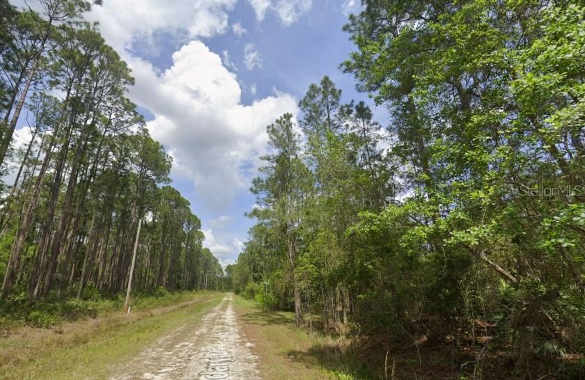 138 MOSSWOOD ST, GEORGETOWN, FL, 32139